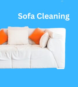 sofa cleaning