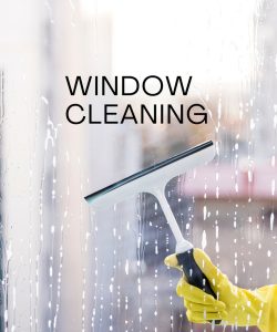 window cleaning window cleaning